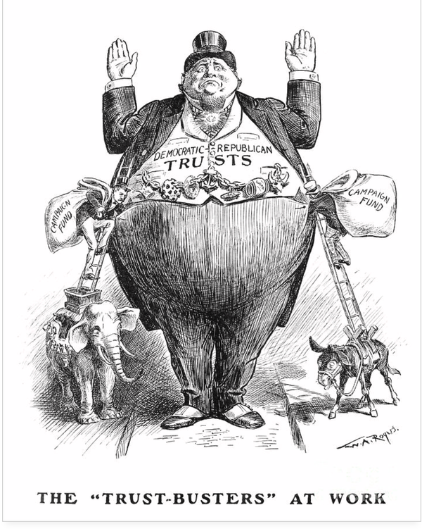 Two underdog trustbusters running for Congress